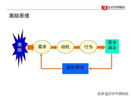知名咨詢(xún)公司客戶(hù)案例 100頁(yè)人力資源管理的全面提升